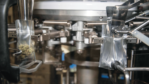Pre-labeled pouches, seen here from their transparent backs, are being opened and filled in the GP-M3000 before being vibrated to settle the buds, then heat-sealed.