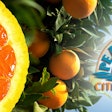 Peace River Citrus Products