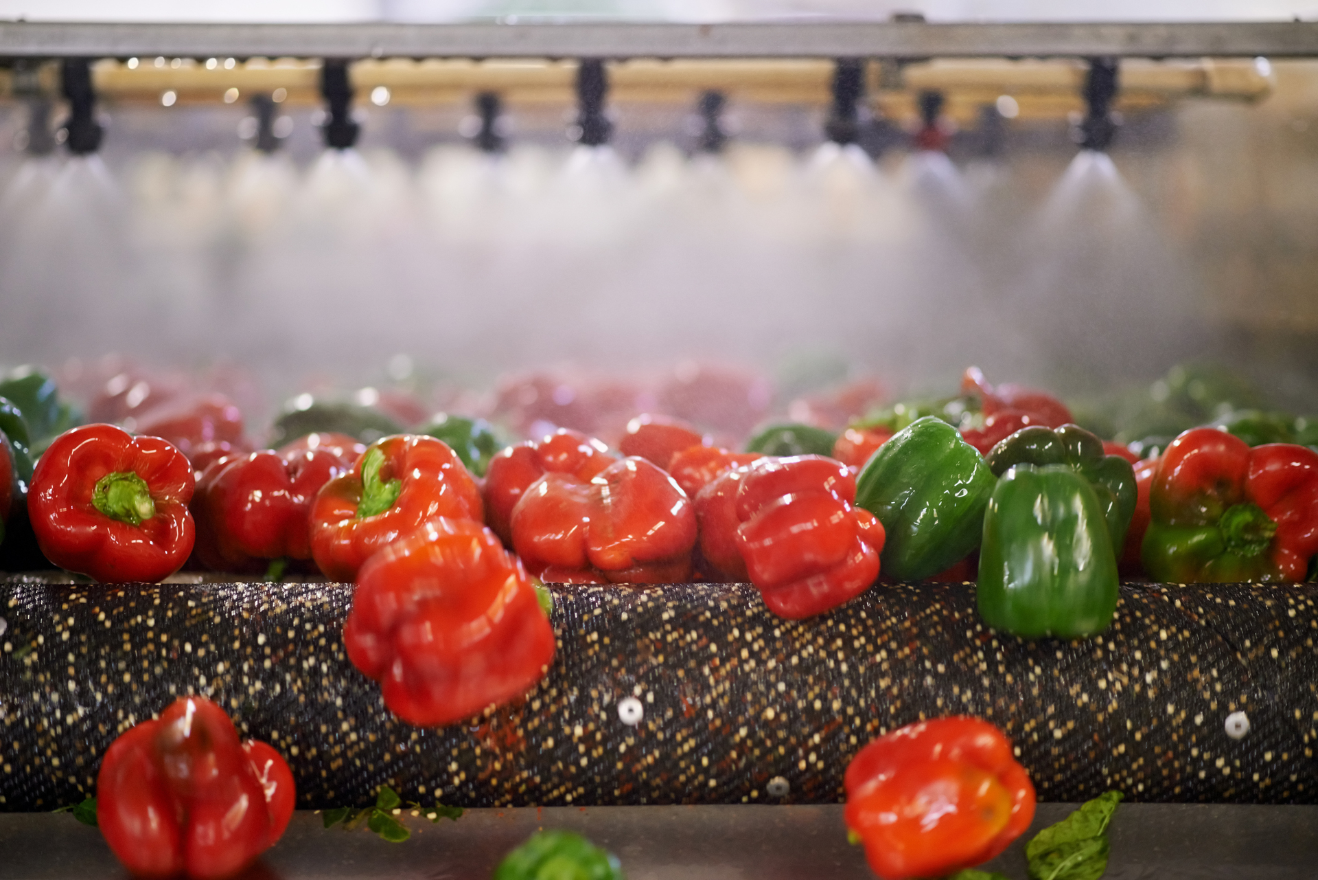 Getty Images 690781340