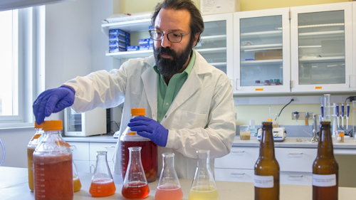 Cornell Creates Detailed Covid 19 Website For Food Industry