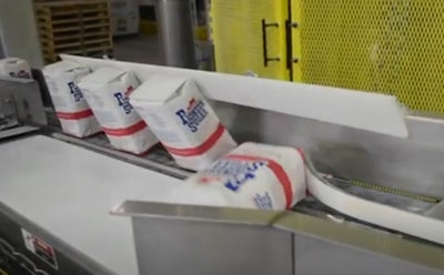 Multi Conveyor Elevated Conveyor System