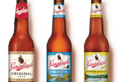 Home Our Beers