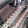 Ima Erca Efs L Fill Seal Machine