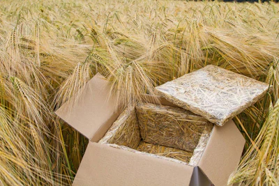 Landbox Bio