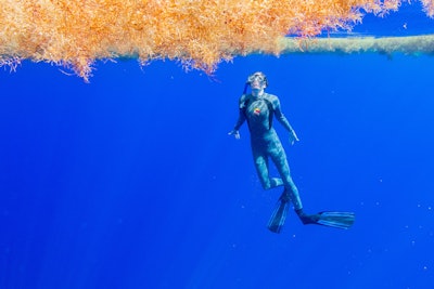 Members of the summit went scuba diving within the gyre to see first-hand the plastics entangled in the sargassum.