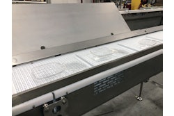 Semi Automated Hand Pack By Multi Conveyor High Res
