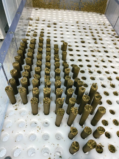 Filled pre-rolls are removed from the lower cartridge for weighing, folding closed, and manual packing.