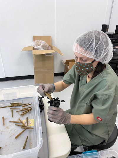 Manual filling of J-tubes prior to shrink wrapping, labeling, and batching in bins for transport.