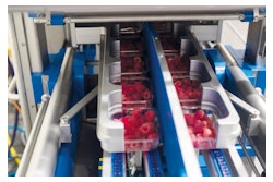 The double-lane tray sealer provides flexibility for medium-sized outputs, yet it’s capable of reliably sealing up to 140 trays/min.