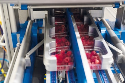 The double-lane tray sealer provides flexibility for medium-sized outputs, yet it’s capable of reliably sealing up to 140 trays/min.