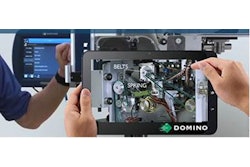 Domino