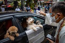 Pet blessing in the Philippines during Covid.