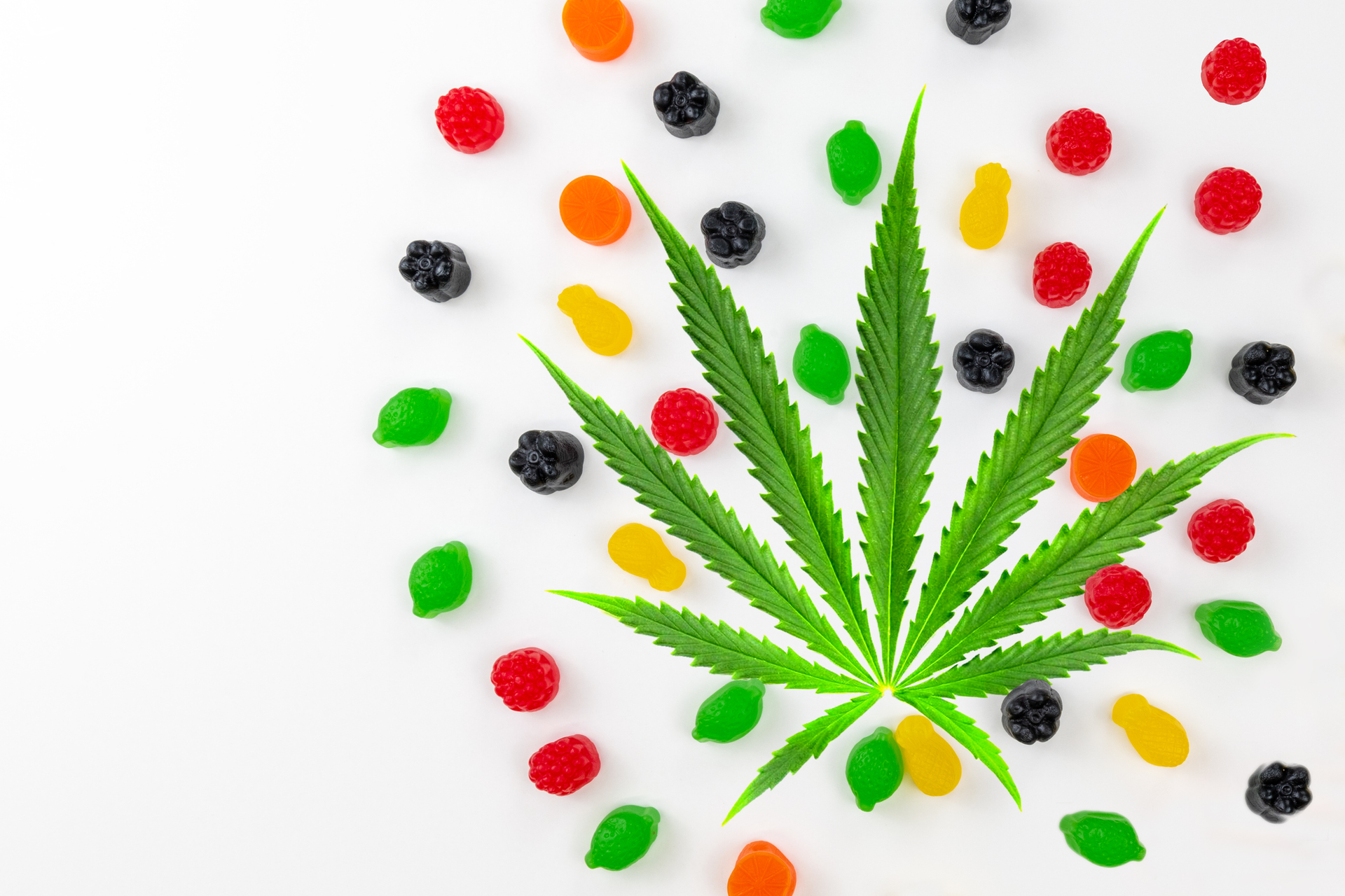 The cannabis industry is heavily monitored and must develop a food safety culture that meets all GMPs and requirements.