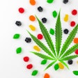 The cannabis industry is heavily monitored and must develop a food safety culture that meets all GMPs and requirements.