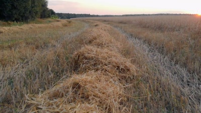 Barley Straw, Waste Is Now Used In Corona Packaging
