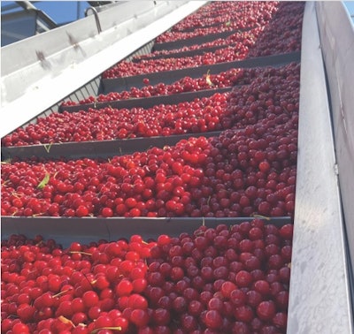 Replacing valves to limit water losses saved millions of gallons of water for Conagra Brands’ Fennville, Mich., plant.