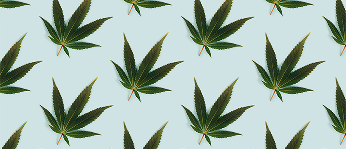 Getting Started Guide Cannabis Packaging Base Hero