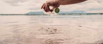 P&G is creating scalable initiatives for waste management infrastructure, and changing up plastic usage, material, and product formats.