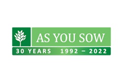 Ays Logo Web
