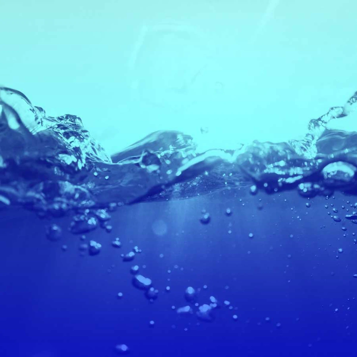 Veritiv, Shinola Join NextWave Plastics to Scale Use of Ocean-Bound Plastics - Vimarsana News