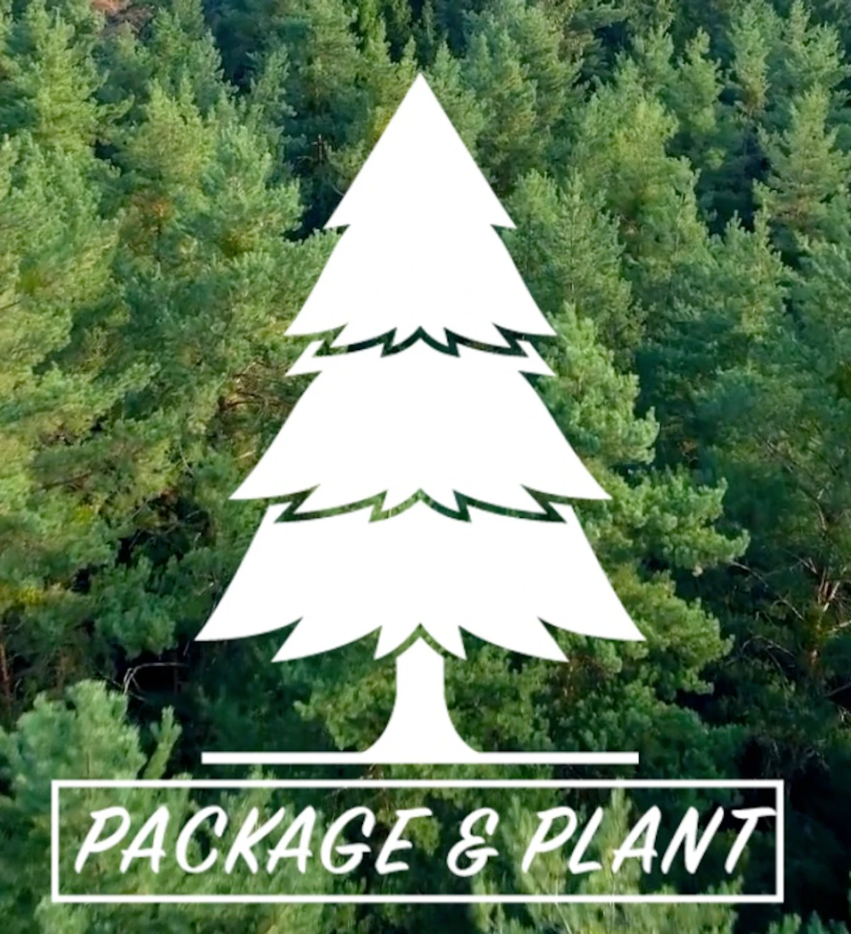 Unique Distinctions, One Tree Planted Create New Packaging Program - Vimarsana News