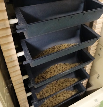 Hopper elevators carry product to the line’s vertical form/fill/seal pouch machine.
