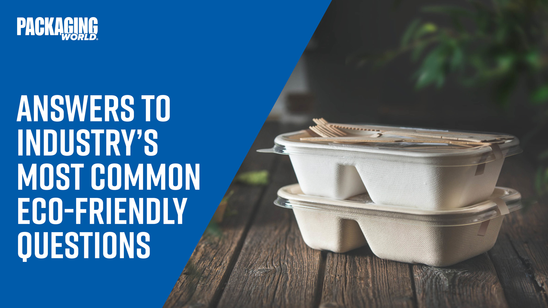 Eco Friendly Questions