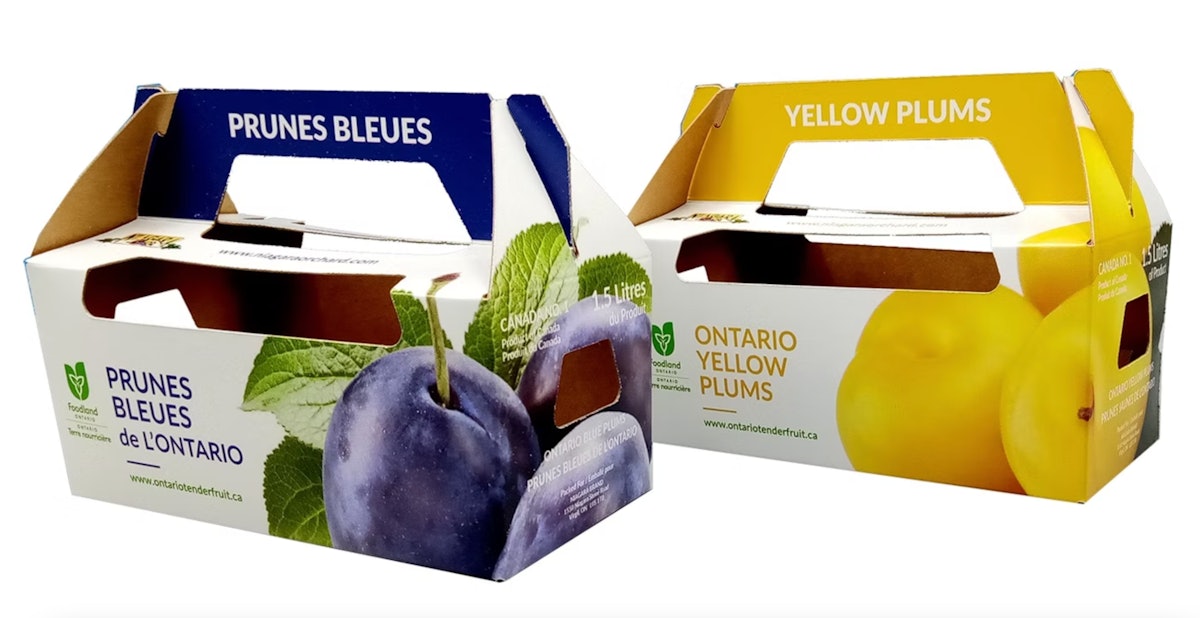 Competitive Price Plastic Foam Fruit and Vegetable Packaging