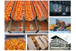 Newtec Weighing Machines Accurate Weighing