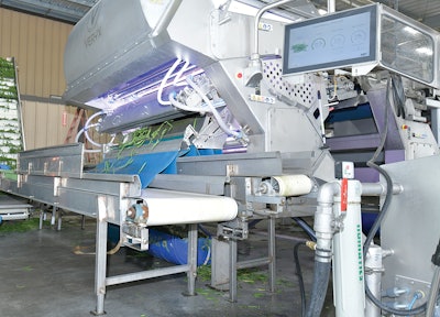 The Veryx B175 digital sorter enables Jones Potato Farm to reduce manual labor while improving product quality and maximizing yield of its green beans.