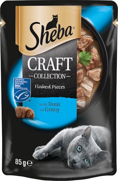 Mars’ Sheeba brand wet pet food pouch introduced to the European market containing food-safe polypropylene made from post-consumer recycled waste, processed by SABIC’s Trucircle solution and made into a film by Huhtamaki.