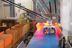 Potatoes robot gripper