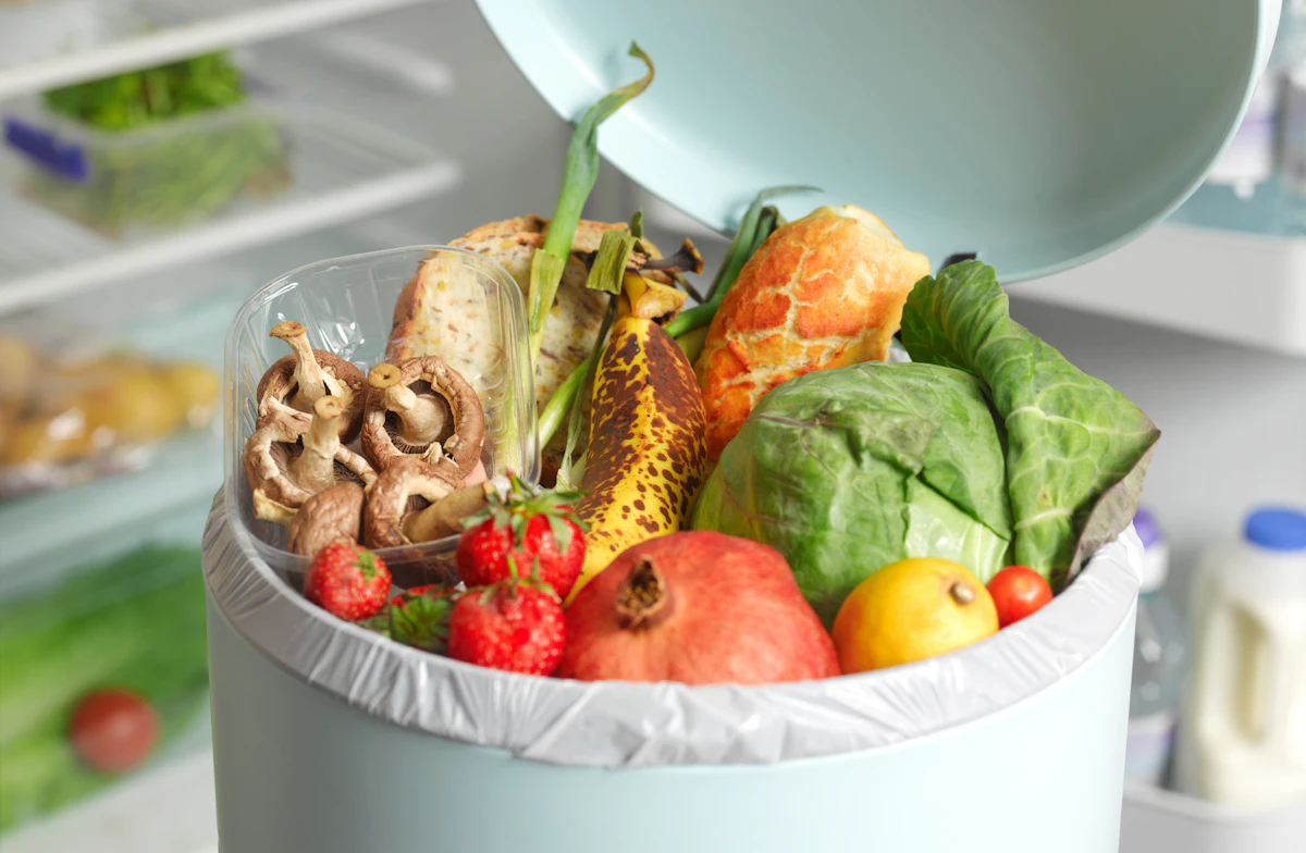 Active Packaging Innovations Help Minimize Food Waste - Vimarsana News