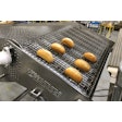 Pivoting Wire Mesh Bakery Dump By Multi Conveyor Hr