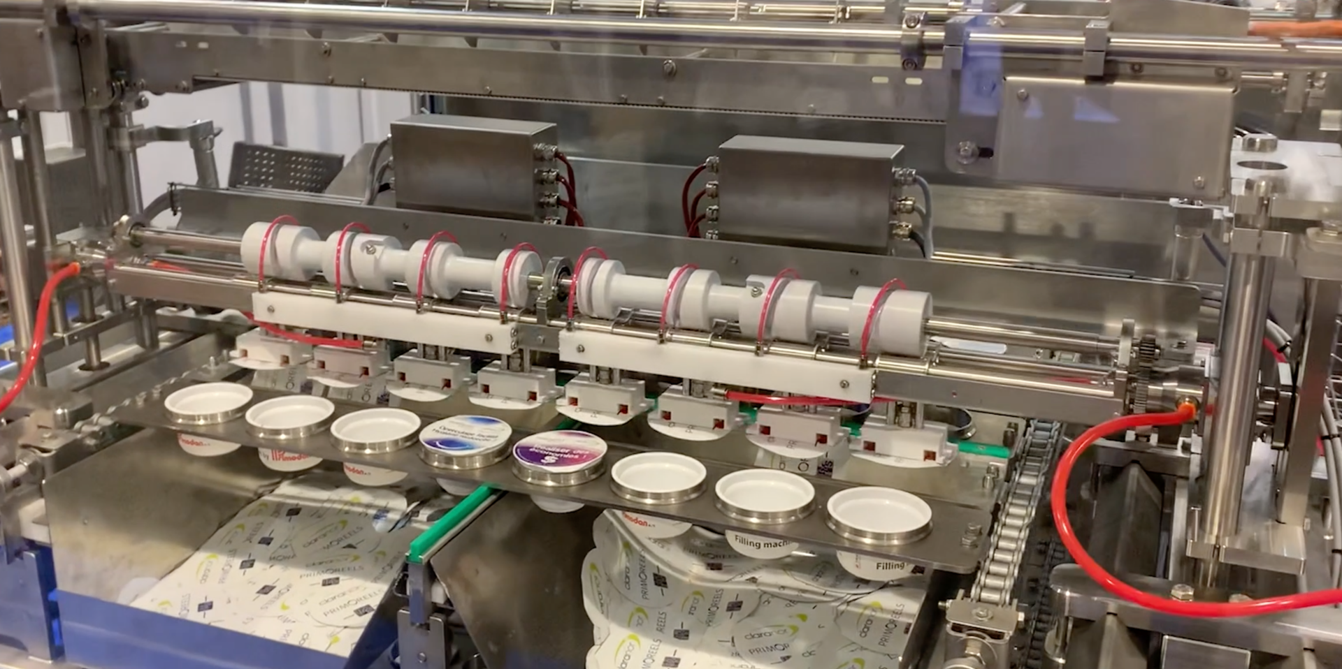 Screen Shot 2022 11 09 At 8 17 55 Pm