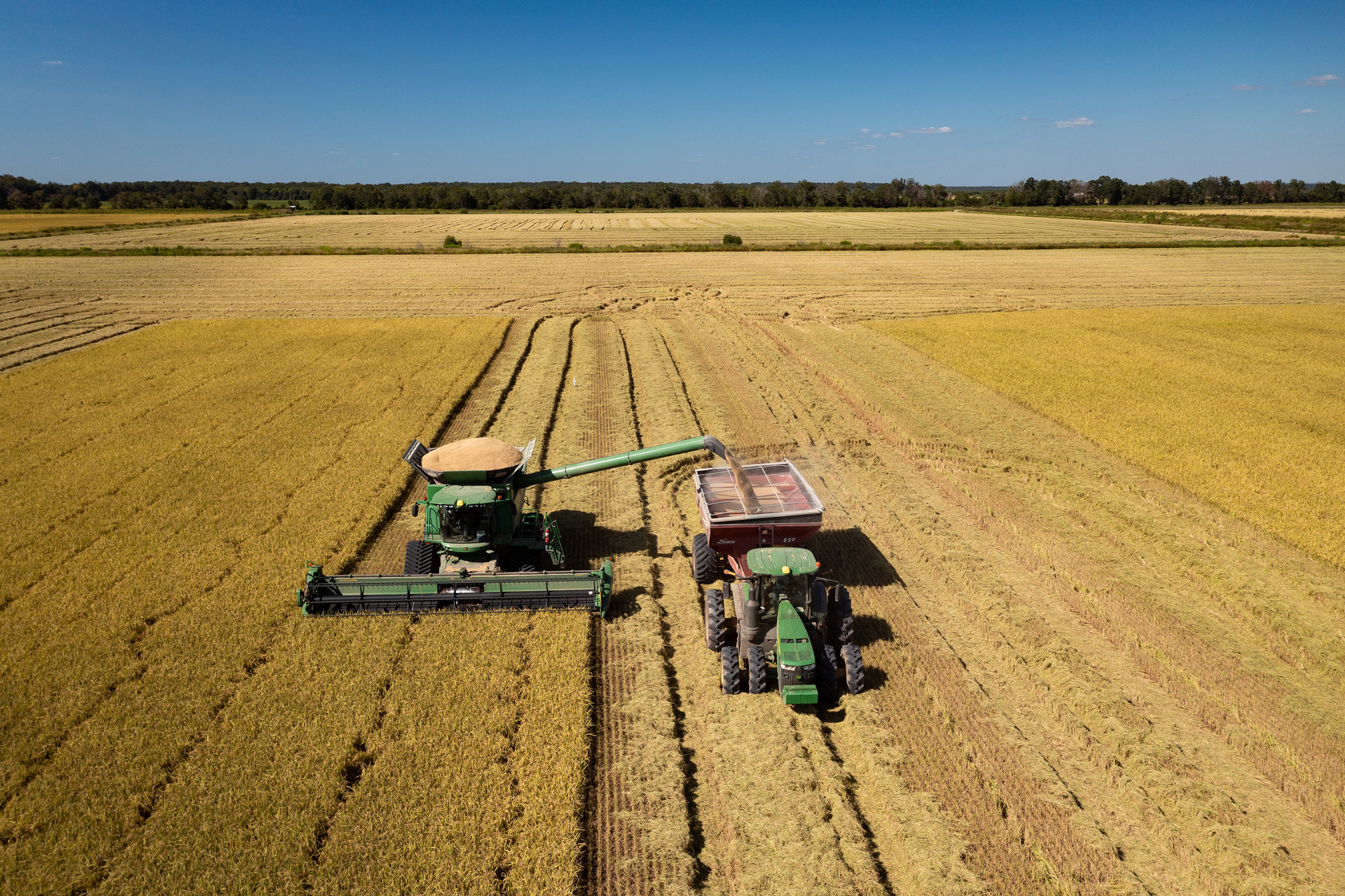 Kellogg Rice Harvest