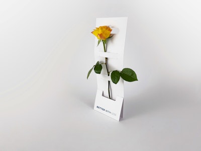 F’lover Final by Mine Koca.