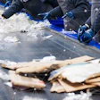 Packaging waste sortation at a materials recovery facility (MRF).