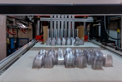 Vacuum Thermoformed Packaging