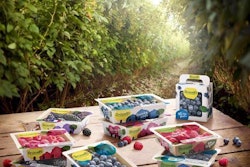 Driscoll's sustainable packaging material.