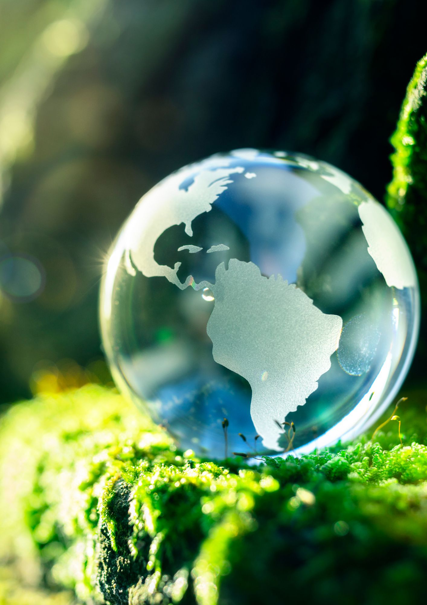 Design20ohne20 Titel20283129