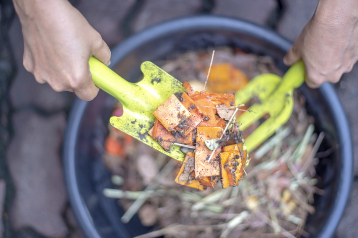 Getty Images 1222255557