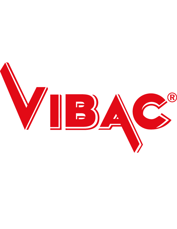 Vibac Logo Png Big