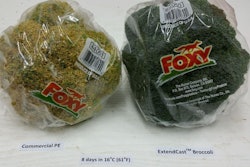 Zeltzer 1 Sustainable Packaging 64c80c60eb7c1