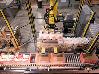 Case20 Packing20n20 Palletizing20 System