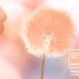 Global color authority Pantone has announced that Pantone13-1023 Peach Fuzz is the Pantone Color of the Year selection for 2024. Photo courtesy of The Development.