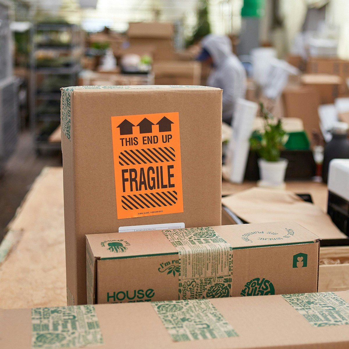 D2C Biz Blossoms ของ House Plant Box พร้อม E-Comm ป้องกัน D2C Biz Blossoms ของ House Plant Box พร้อม E-Comm ป้องกัน