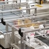 Bakery Conveyor Photo