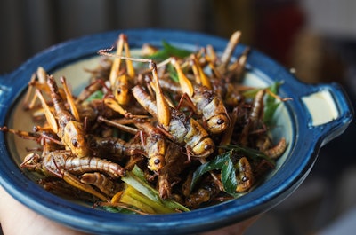 Insect Food Getty Images 1320795782