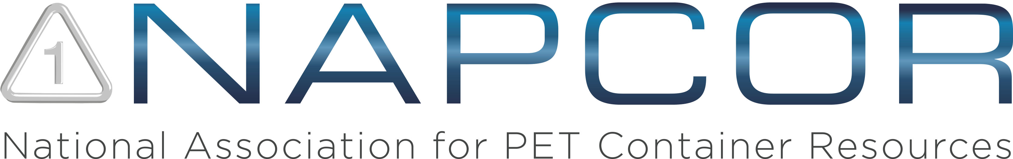 Napcor Logo Blue Descriptor[65]